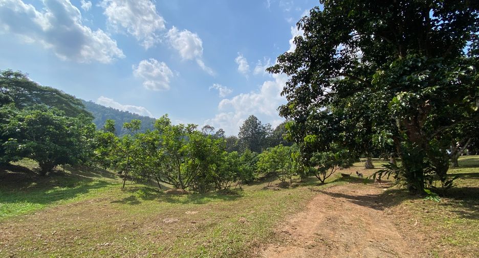 出售 土地 在 Mae Taeng, Chiang Mai
