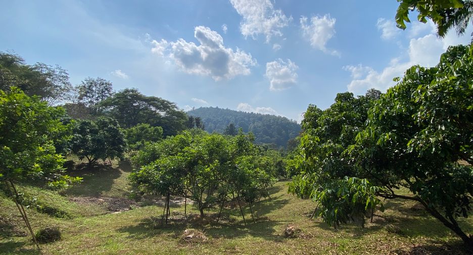 出售 土地 在 Mae Taeng, Chiang Mai