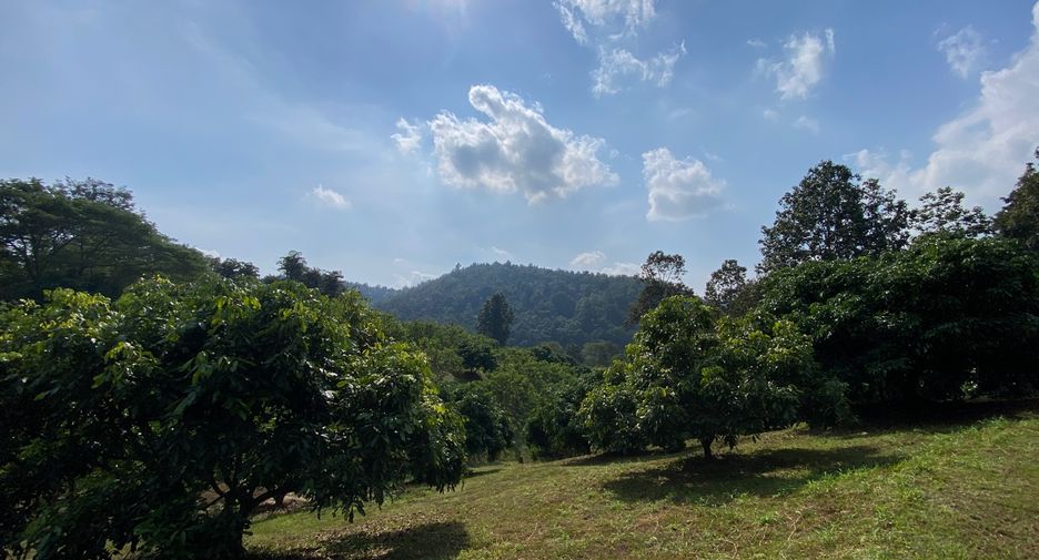 出售 土地 在 Mae Taeng, Chiang Mai