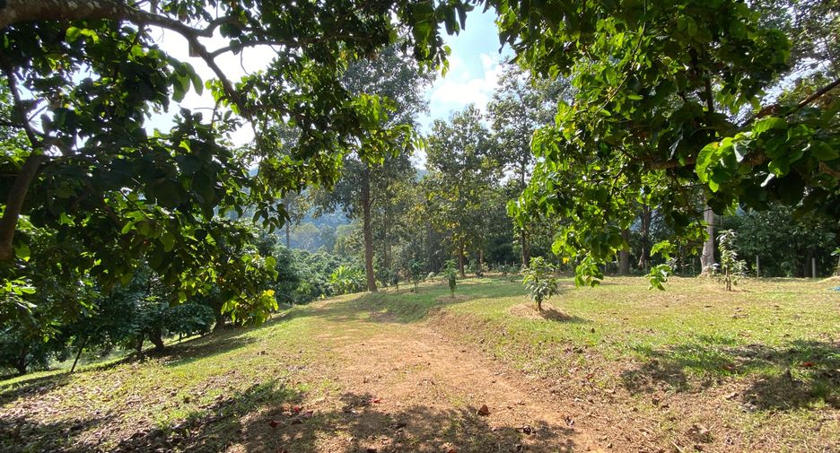出售 土地 在 Mae Taeng, Chiang Mai
