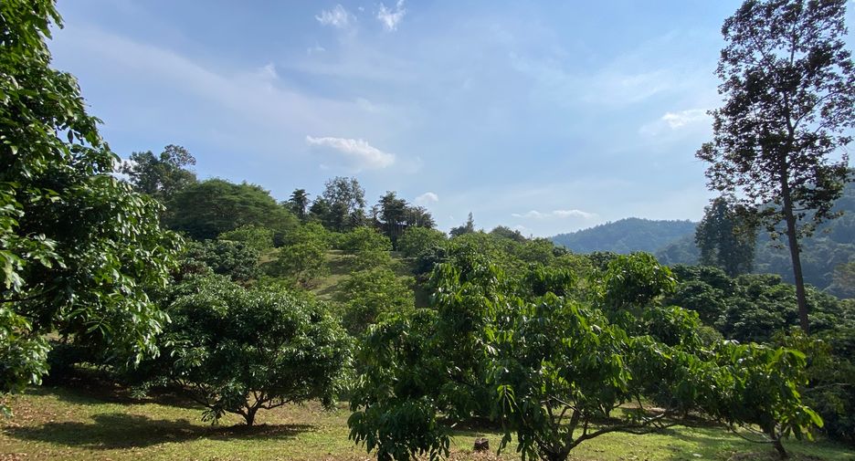 出售 土地 在 Mae Taeng, Chiang Mai