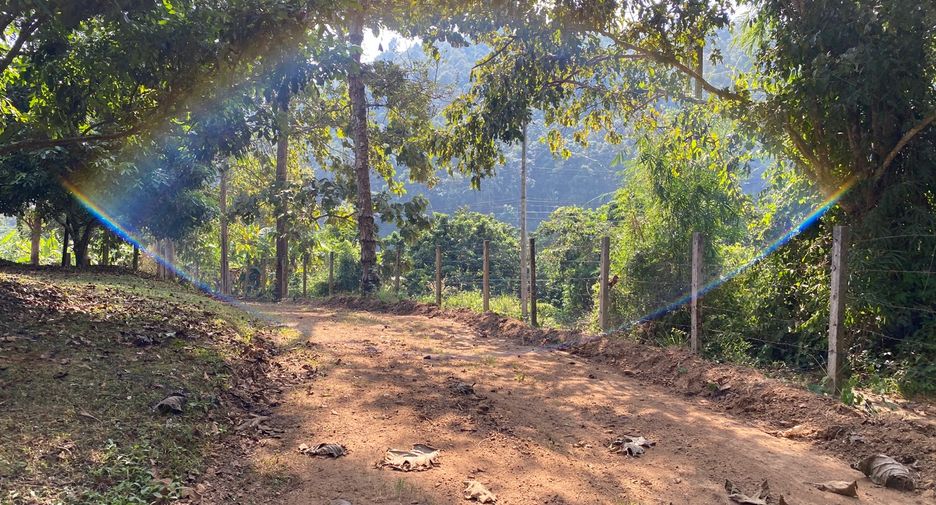 出售 土地 在 Mae Taeng, Chiang Mai