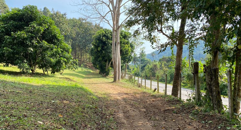 出售 土地 在 Mae Taeng, Chiang Mai
