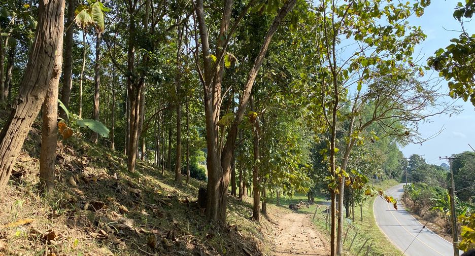 出售 土地 在 Mae Taeng, Chiang Mai