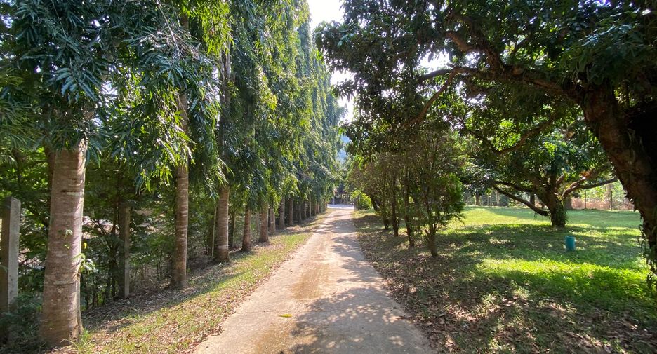 出售 土地 在 Mae Taeng, Chiang Mai