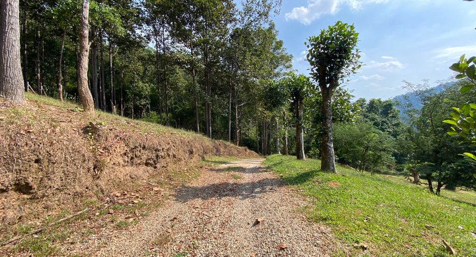 出售 土地 在 Mae Taeng, Chiang Mai