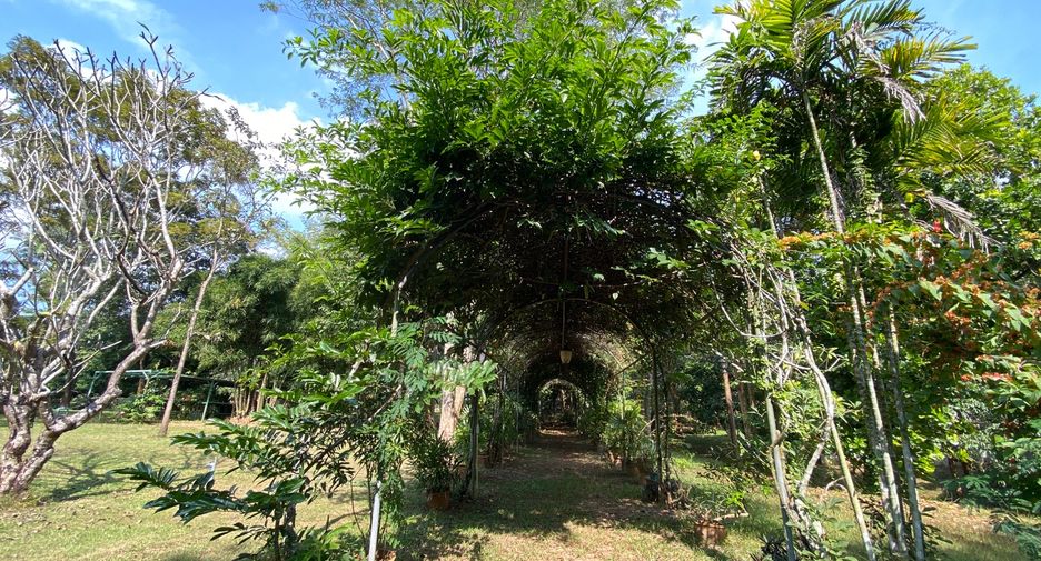 出售 土地 在 Mae Taeng, Chiang Mai