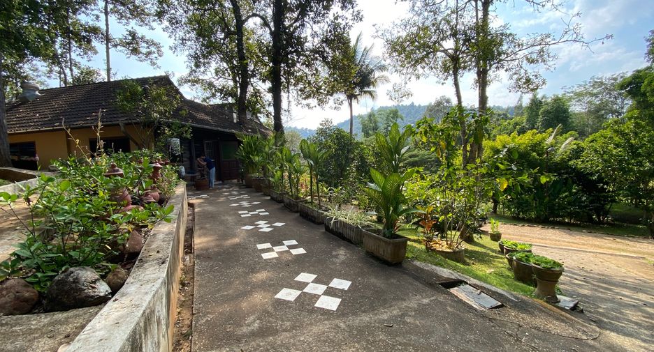 出售 土地 在 Mae Taeng, Chiang Mai
