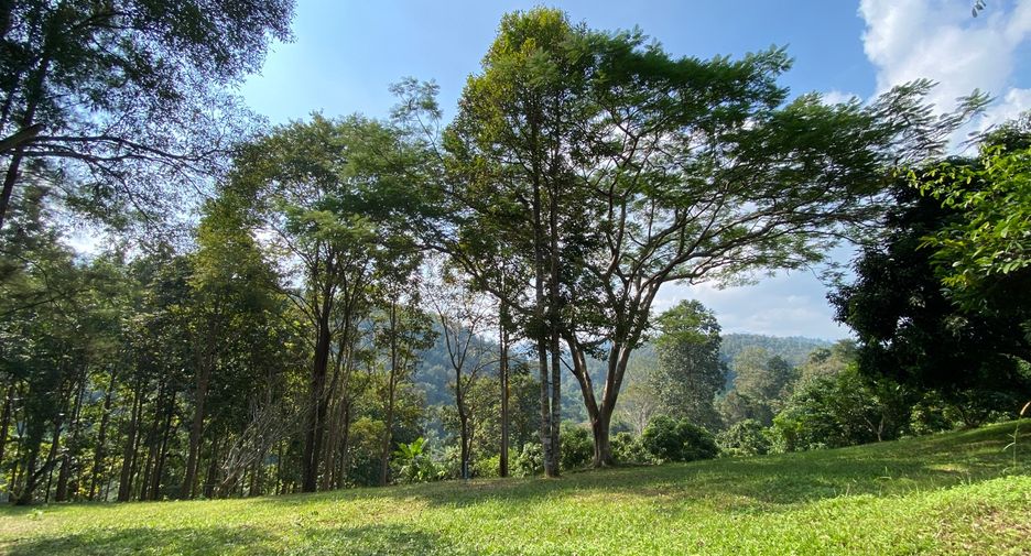 出售 土地 在 Mae Taeng, Chiang Mai