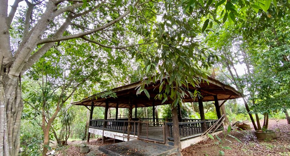 出售 土地 在 Mae Taeng, Chiang Mai