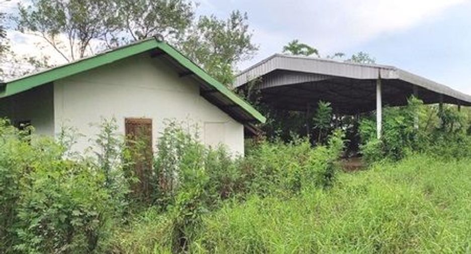 For sale warehouse in Lom Sak, Phetchabun