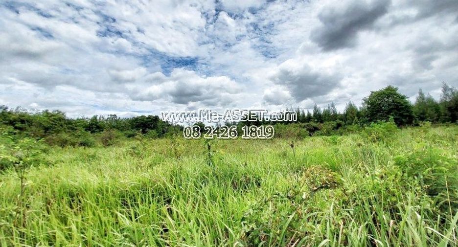 For sale land in Suan Phueng, Ratchaburi