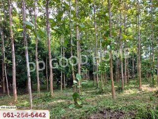 For sale land in Phan, Chiang Rai