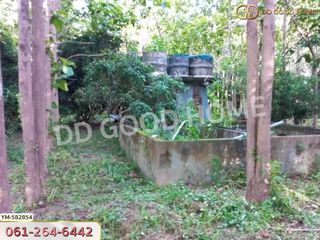 For sale land in Phan, Chiang Rai