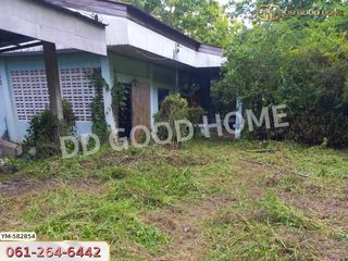 For sale land in Phan, Chiang Rai