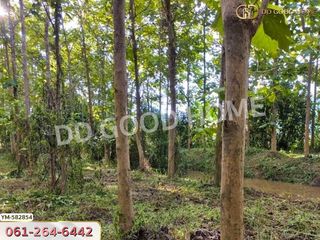 For sale land in Phan, Chiang Rai