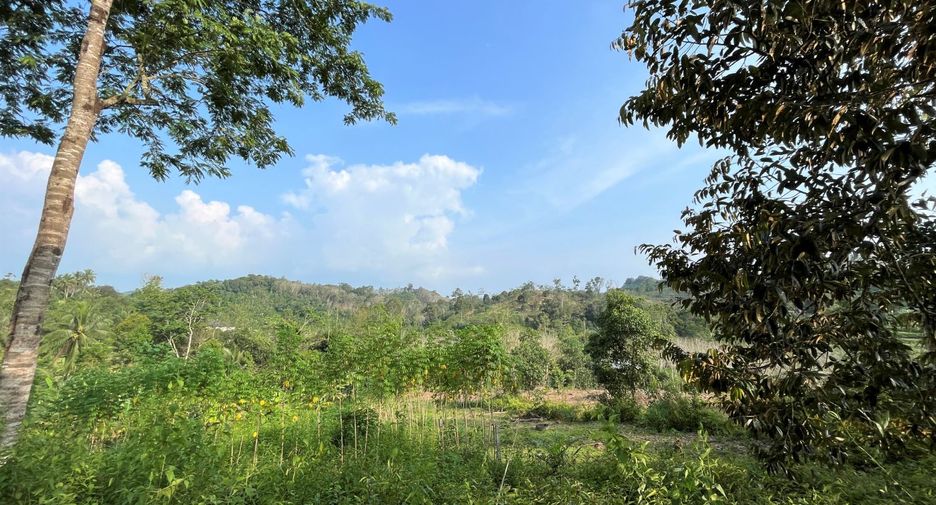 For sale land in Takua Thung, Phang Nga