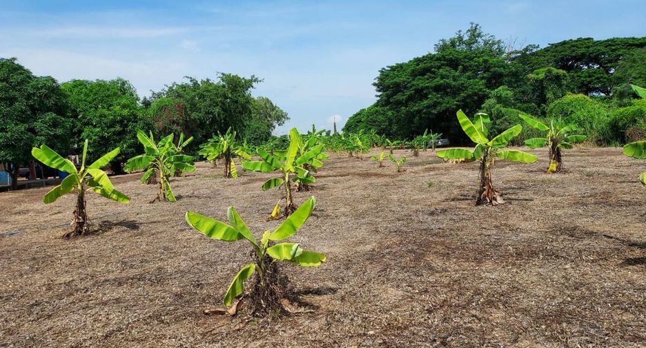 For sale land in Mueang Nakhon Sawan, Nakhon Sawan