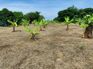 For sale land in Mueang Nakhon Sawan, Nakhon Sawan