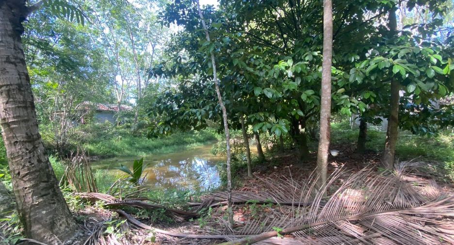 For sale land in Takua Thung, Phang Nga