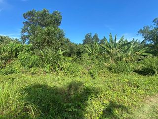 For sale land in Takua Thung, Phang Nga