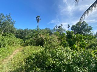 For sale land in Takua Thung, Phang Nga