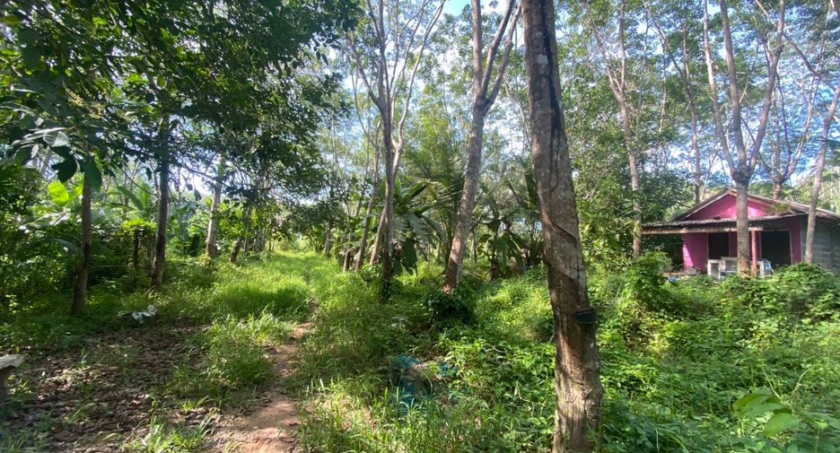 For sale land in Takua Thung, Phang Nga