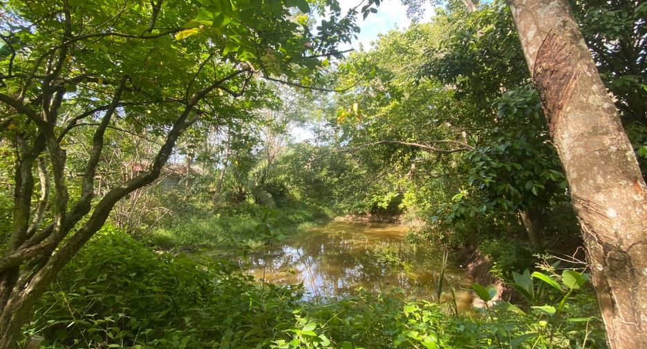 For sale land in Takua Thung, Phang Nga