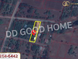 For sale land in Nong Phai, Phetchabun