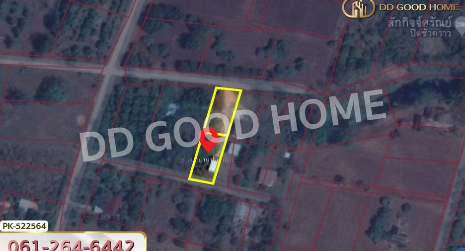 For sale land in Nong Phai, Phetchabun