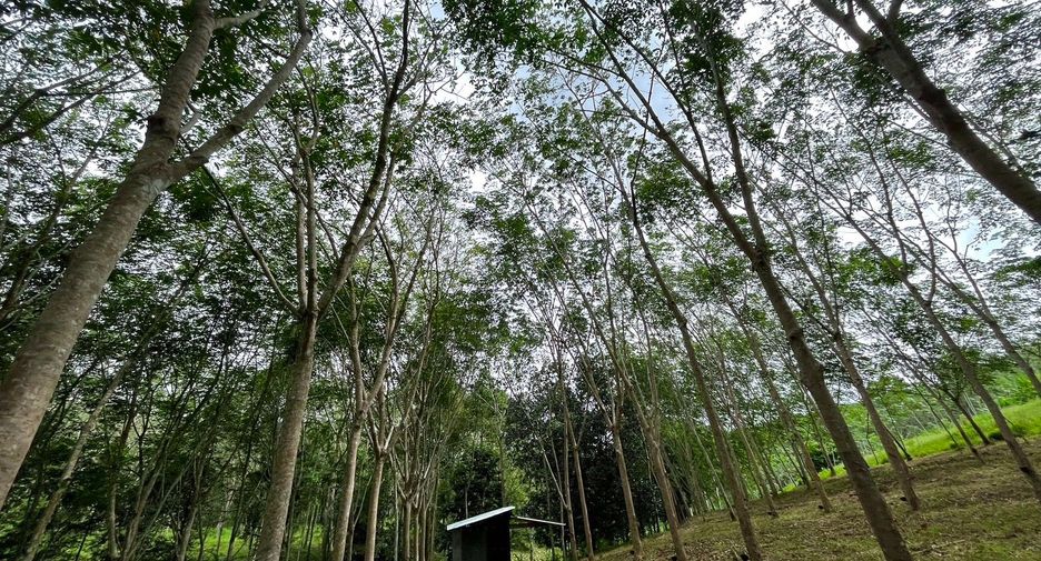 Terreno en venta en Takua Thung, Phang Nga