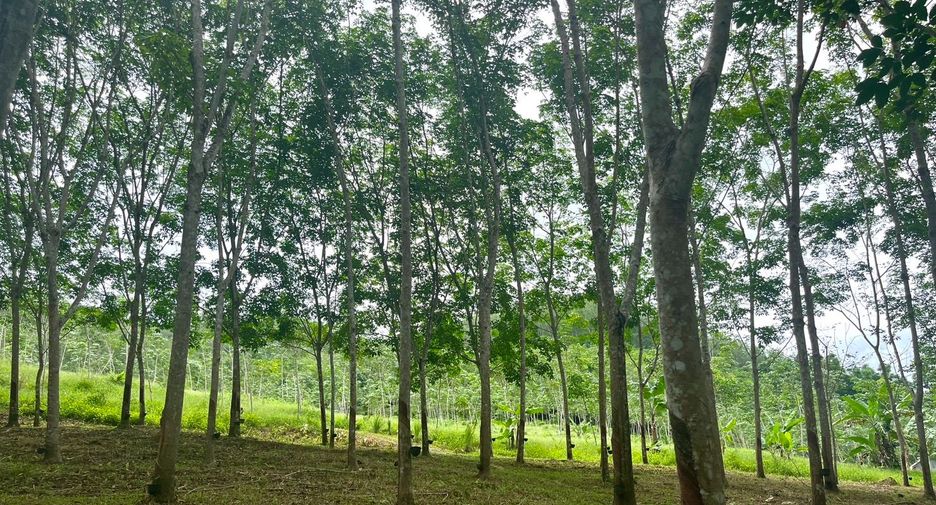 Terreno en venta en Takua Thung, Phang Nga