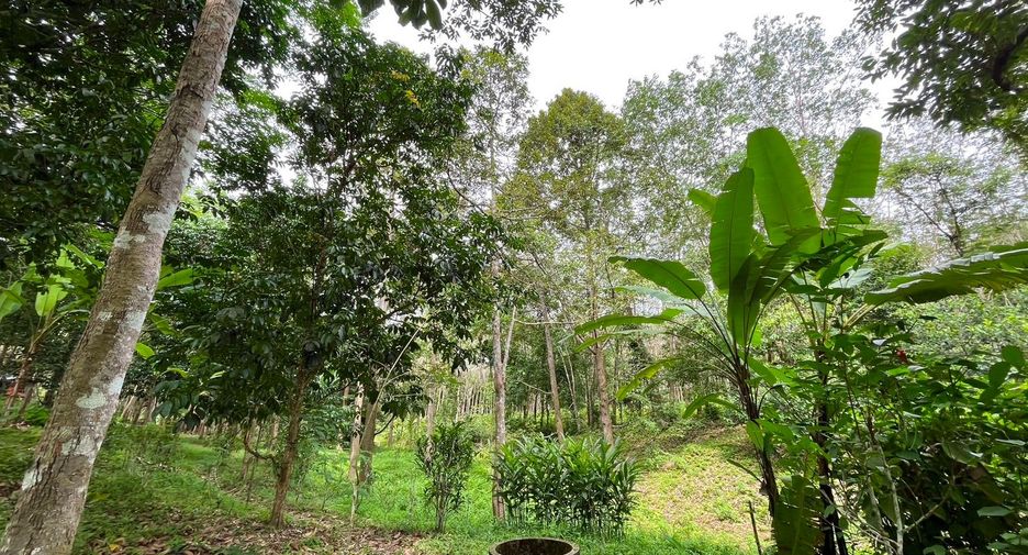 Terreno en venta en Takua Thung, Phang Nga