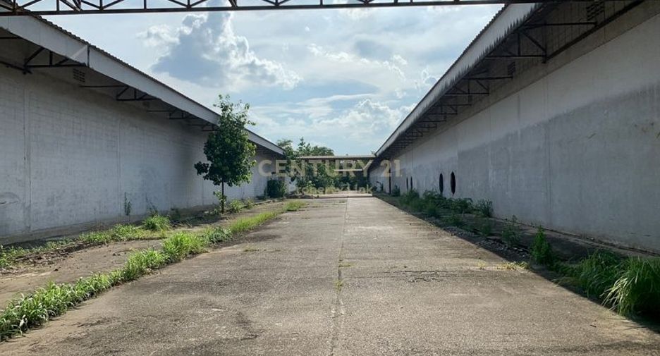 Аренда и продажа торговое помещение в Bang Pa-in, Phra Nakhon Si Ayutthaya
