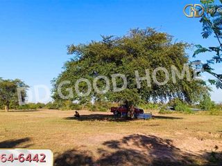 For sale land in Prathai, Nakhon Ratchasima