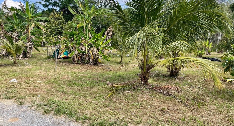 For sale land in Takua Thung, Phang Nga