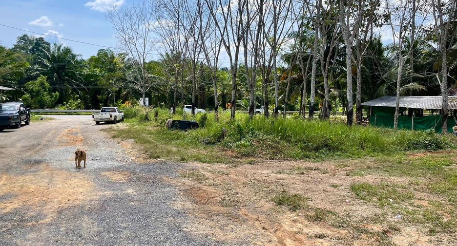 For sale land in Takua Thung, Phang Nga