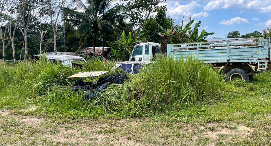 For sale land in Takua Thung, Phang Nga