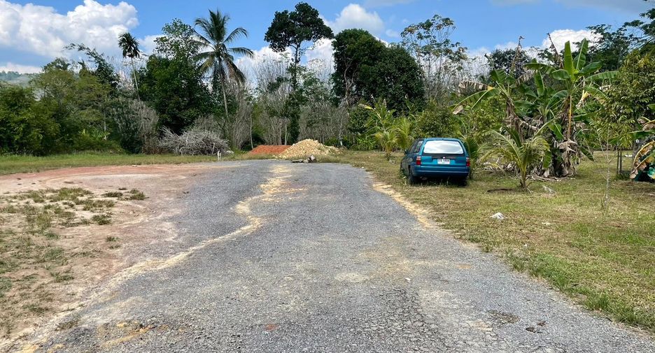 For sale land in Takua Thung, Phang Nga