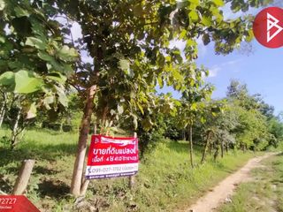 For sale land in Tha Pla, Uttaradit