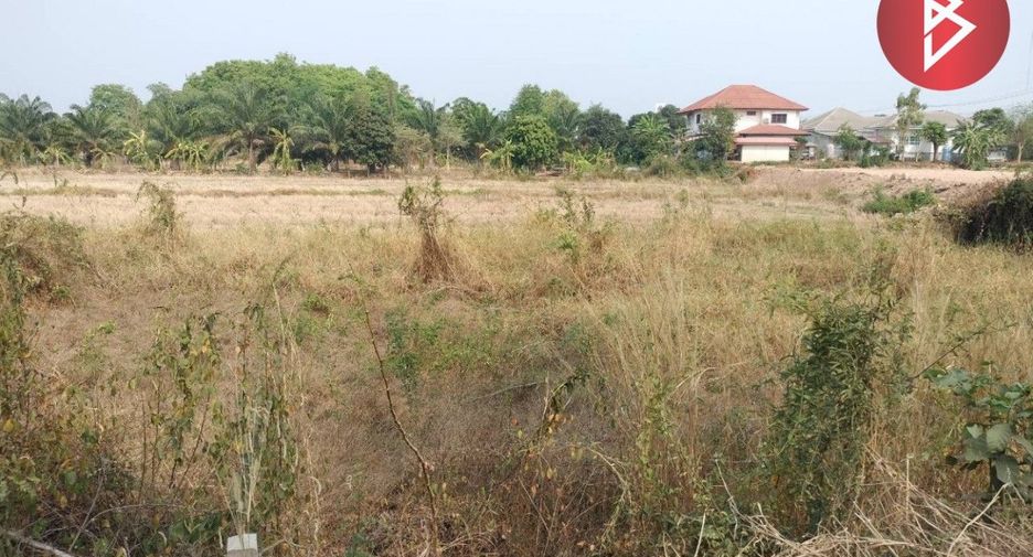 For sale land in Wang Thong, Phitsanulok