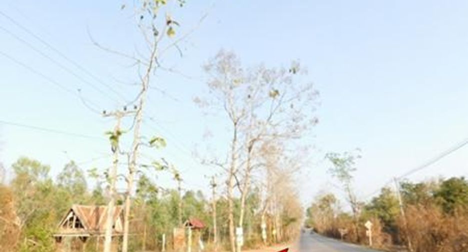 For sale land in Chon Daen, Phetchabun
