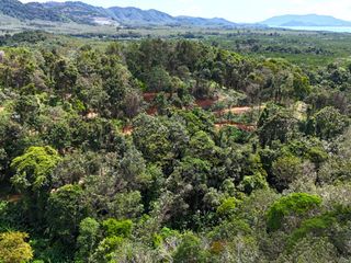 For sale land in Takua Thung, Phang Nga