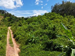 For sale land in Takua Thung, Phang Nga