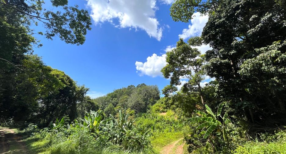 For sale land in Takua Thung, Phang Nga