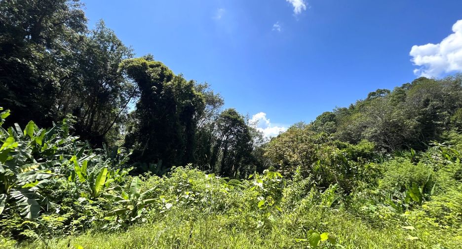 For sale land in Takua Thung, Phang Nga