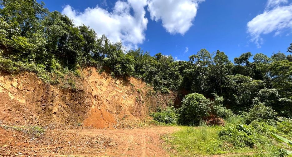 For sale land in Takua Thung, Phang Nga