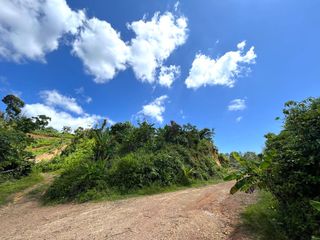 For sale land in Takua Thung, Phang Nga