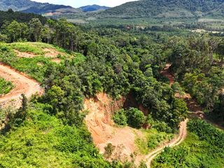 For sale land in Takua Thung, Phang Nga