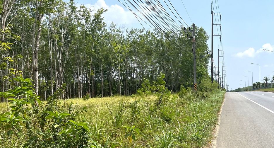 For sale land in Takua Thung, Phang Nga
